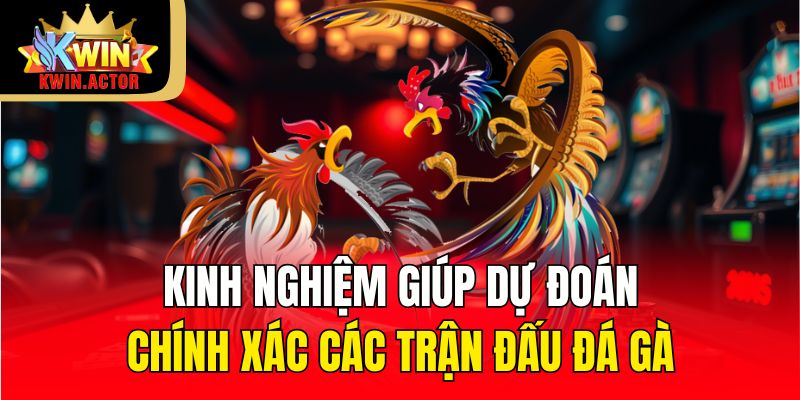 Kinh nghiệm giúp dự đoán chính xác các trận đấu đá gà