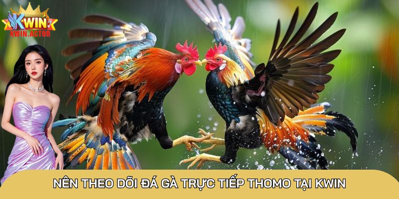 Đá gà cựa dao siêu hấp dẫn, 3 cửa cược đơn giản nhất 3 Tham gia đá gà có 3 cửa cược cho bạn lựa chọn